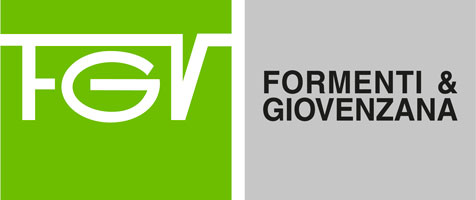 Логотип FGV