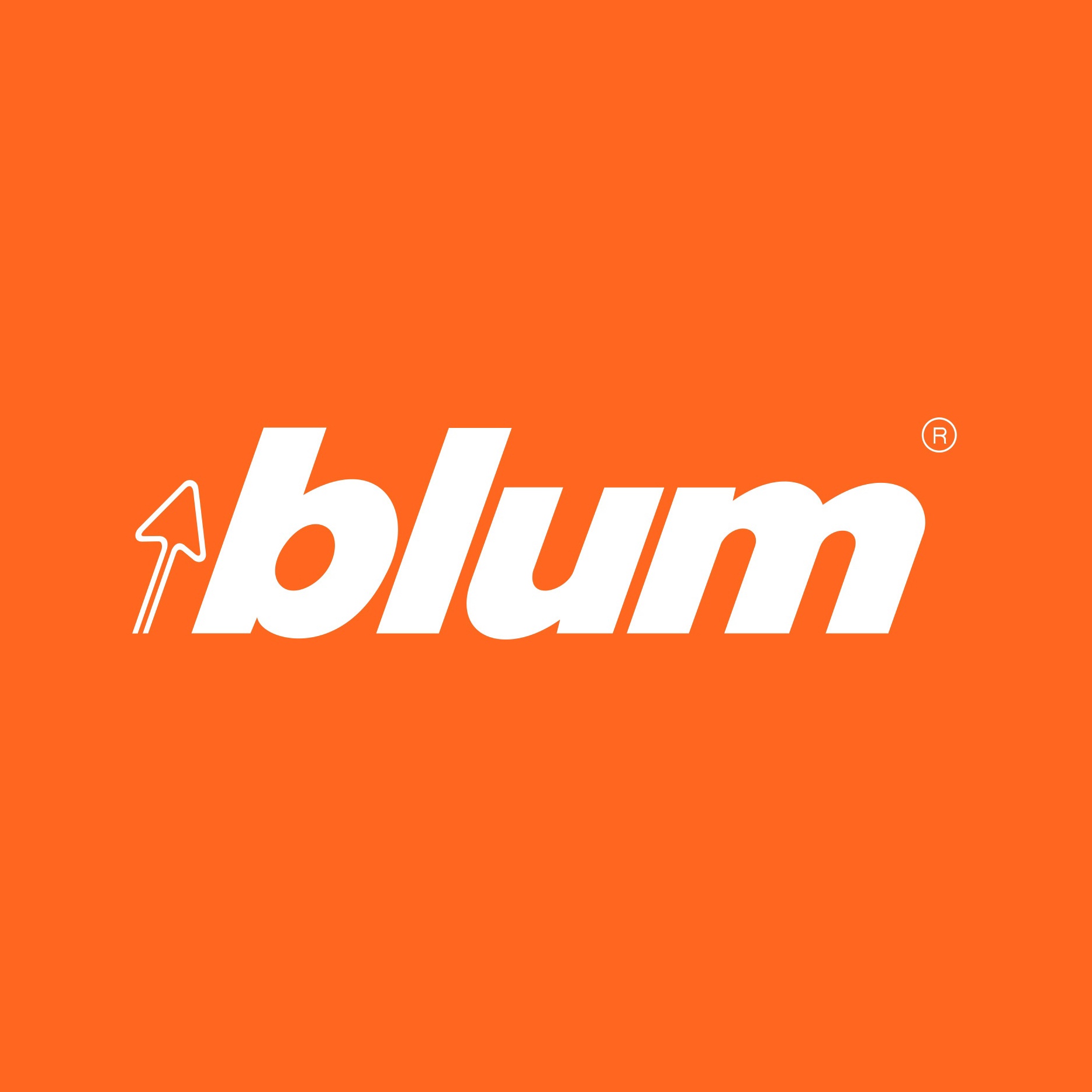 Логотип blum
